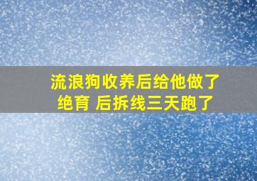 流浪狗收养后给他做了绝育 后拆线三天跑了